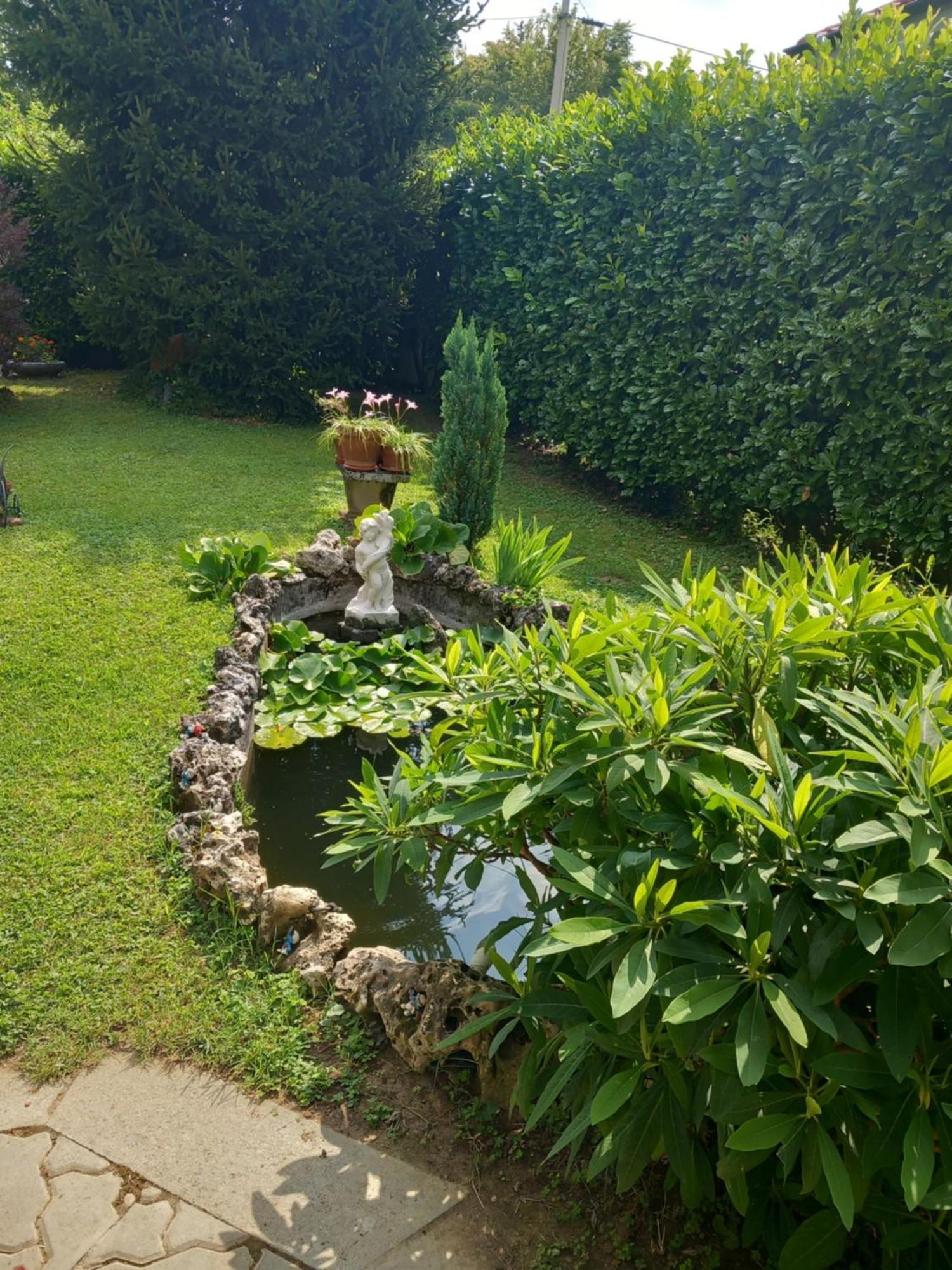 Bed and Breakfast Il Laghetto Torre Canavese Екстер'єр фото