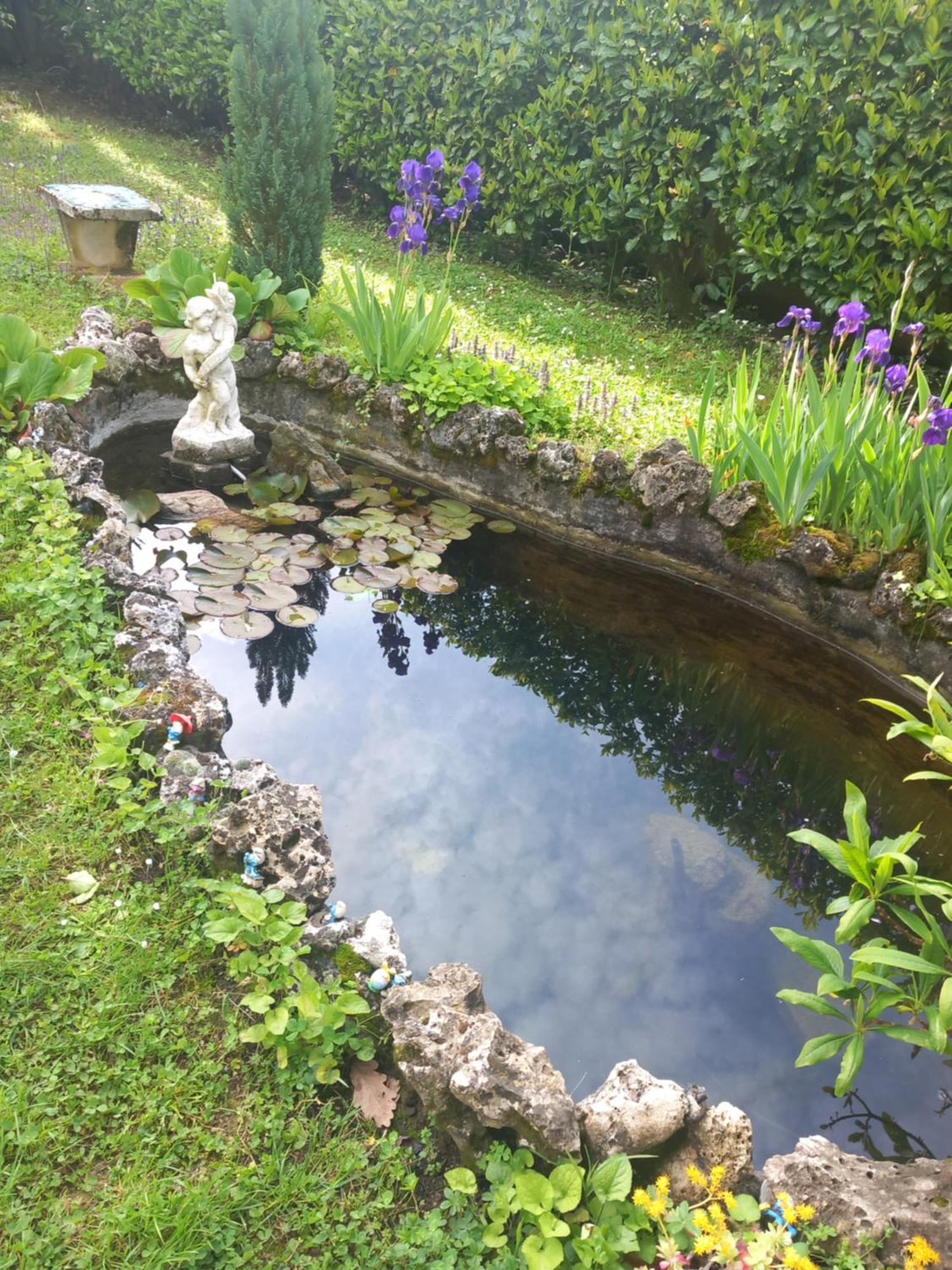 Bed and Breakfast Il Laghetto Torre Canavese Екстер'єр фото