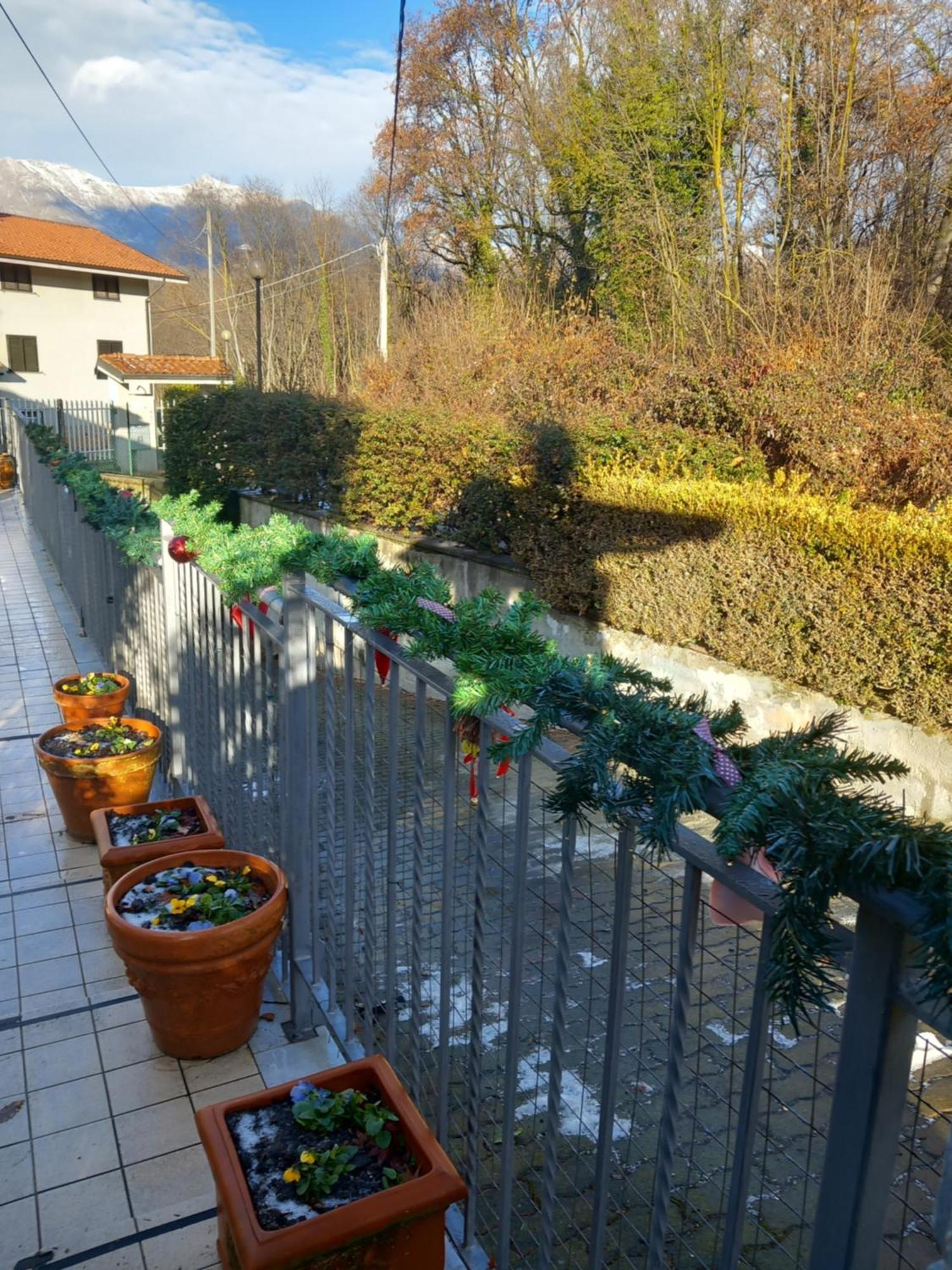 Bed and Breakfast Il Laghetto Torre Canavese Екстер'єр фото